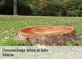 Dessouchage arbre et haie Marne 