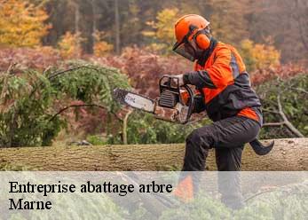 Entreprise abattage arbre Marne 