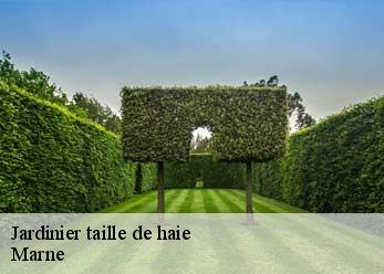 Jardinier taille de haie Marne 