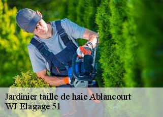 Jardinier taille de haie  ablancourt-51240 WJ Elagage 51 