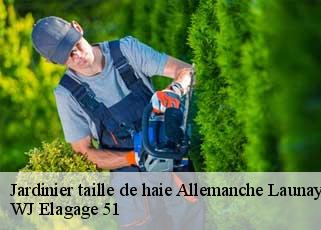 Jardinier taille de haie  allemanche-launay-et-soyer-51260 WJ Elagage 51 