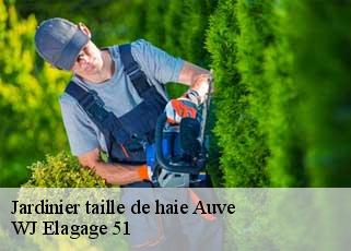 Jardinier taille de haie  auve-51800 WJ Elagage 51 