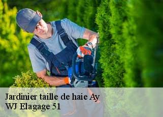 Jardinier taille de haie  ay-51160 WJ Elagage 51 