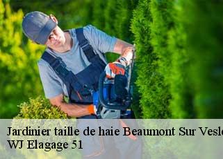 Jardinier taille de haie  beaumont-sur-vesle-51360 WJ Elagage 51 