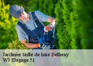 Jardinier taille de haie  betheny-51450 WJ Elagage 51 