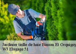 Jardinier taille de haie  binson-et-orquigny-51700 WJ Elagage 51 