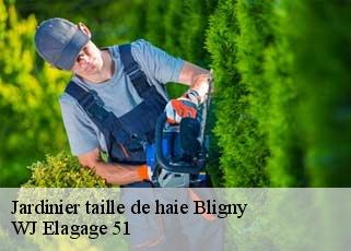 Jardinier taille de haie bligny-51170 WJ Elagage 51