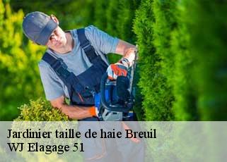 Jardinier taille de haie  breuil-51140 WJ Elagage 51 