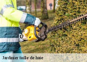 Jardinier taille de haie