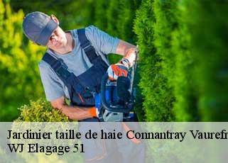 Jardinier taille de haie  connantray-vaurefroy-51230 WJ Elagage 51 