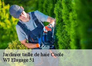 Jardinier taille de haie  coole-51320 WJ Elagage 51 