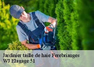 Jardinier taille de haie  ferebrianges-51270 WJ Elagage 51 