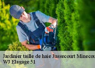 Jardinier taille de haie  jussecourt-minecourt-51340 WJ Elagage 51 