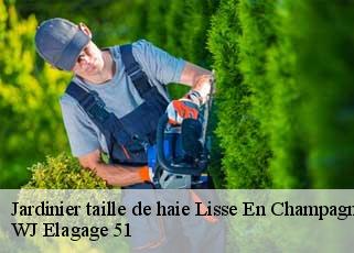 Jardinier taille de haie  lisse-en-champagne-51300 WJ Elagage 51 
