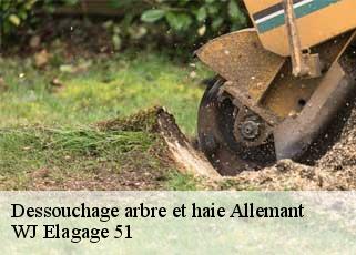 Dessouchage arbre et haie  allemant-51120 WJ Elagage 51 