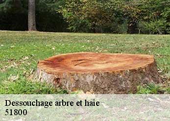 Dessouchage arbre et haie 51800