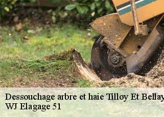 Dessouchage arbre et haie  tilloy-et-bellay-51460 WJ Elagage 51 