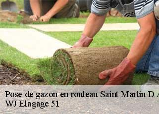 Pose de gazon en rouleau  saint-martin-d-ablois-51200 WJ Elagage 51 