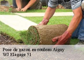 Pose de gazon en rouleau  aigny-51150 WJ Elagage 51 