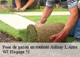 Pose de gazon en rouleau  aulnay-l-aitre-51240 WJ Elagage 51 