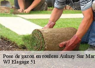 Pose de gazon en rouleau  aulnay-sur-marne-51150 WJ Elagage 51 