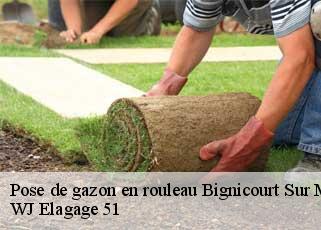 Pose de gazon en rouleau  bignicourt-sur-marne-51300 WJ Elagage 51 