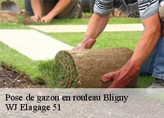 Pose de gazon en rouleau  bligny-51170 WJ Elagage 51 