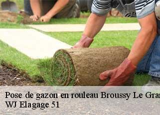 Pose de gazon en rouleau  broussy-le-grand-51230 WJ Elagage 51 