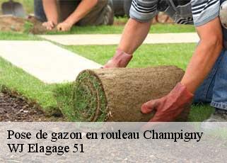 Pose de gazon en rouleau  champigny-51370 WJ Elagage 51 