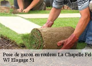 Pose de gazon en rouleau  la-chapelle-felcourt-51800 WJ Elagage 51 
