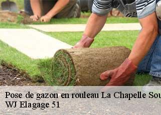 Pose de gazon en rouleau  la-chapelle-sous-orbais-51270 WJ Elagage 51 