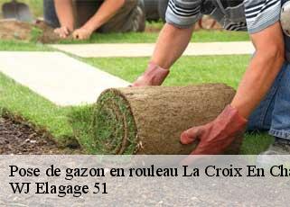 Pose de gazon en rouleau  la-croix-en-champagne-51600 WJ Elagage 51 