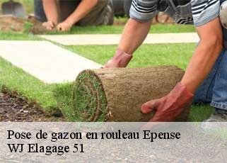 Pose de gazon en rouleau  epense-51330 WJ Elagage 51 