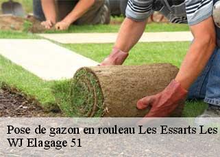 Pose de gazon en rouleau  les-essarts-les-sezanne-51120 WJ Elagage 51 