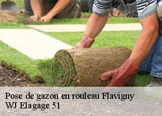 Pose de gazon en rouleau  flavigny-51190 WJ Elagage 51 
