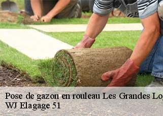 Pose de gazon en rouleau  les-grandes-loges-51400 WJ Elagage 51 