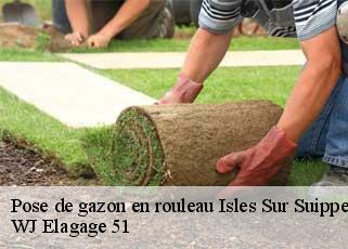 Pose de gazon en rouleau  isles-sur-suippe-51110 WJ Elagage 51 