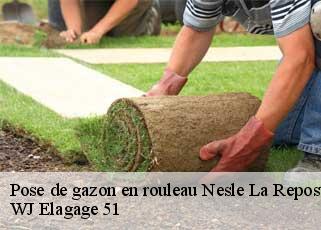 Pose de gazon en rouleau nesle-la-reposte-51120 WJ Elagage 51