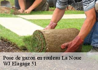 Pose de gazon en rouleau  la-noue-51310 WJ Elagage 51 