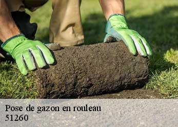 Pose de gazon en rouleau 51260