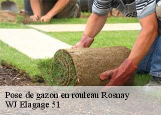 Pose de gazon en rouleau  rosnay-51390 WJ Elagage 51 