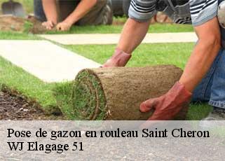 Pose de gazon en rouleau  saint-cheron-51290 WJ Elagage 51 