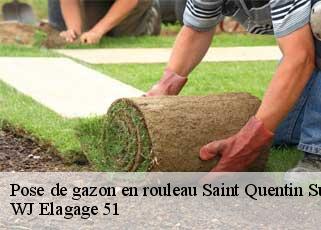Pose de gazon en rouleau  saint-quentin-sur-coole-51240 WJ Elagage 51 