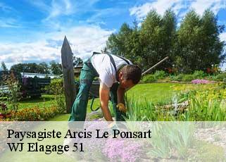 Paysagiste  arcis-le-ponsart-51170 WJ Elagage 51 