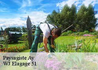 Paysagiste  ay-51160 WJ Elagage 51 