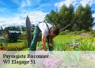 Paysagiste  baconnes-51400 WJ Elagage 51 