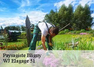 Paysagiste  bligny-51170 WJ Elagage 51 
