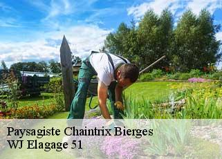Paysagiste  chaintrix-bierges-51130 WJ Elagage 51 