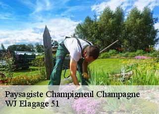 Paysagiste  champigneul-champagne-51150 WJ Elagage 51 