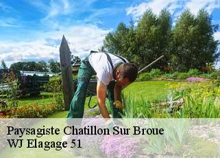 Paysagiste  chatillon-sur-broue-51290 WJ Elagage 51 